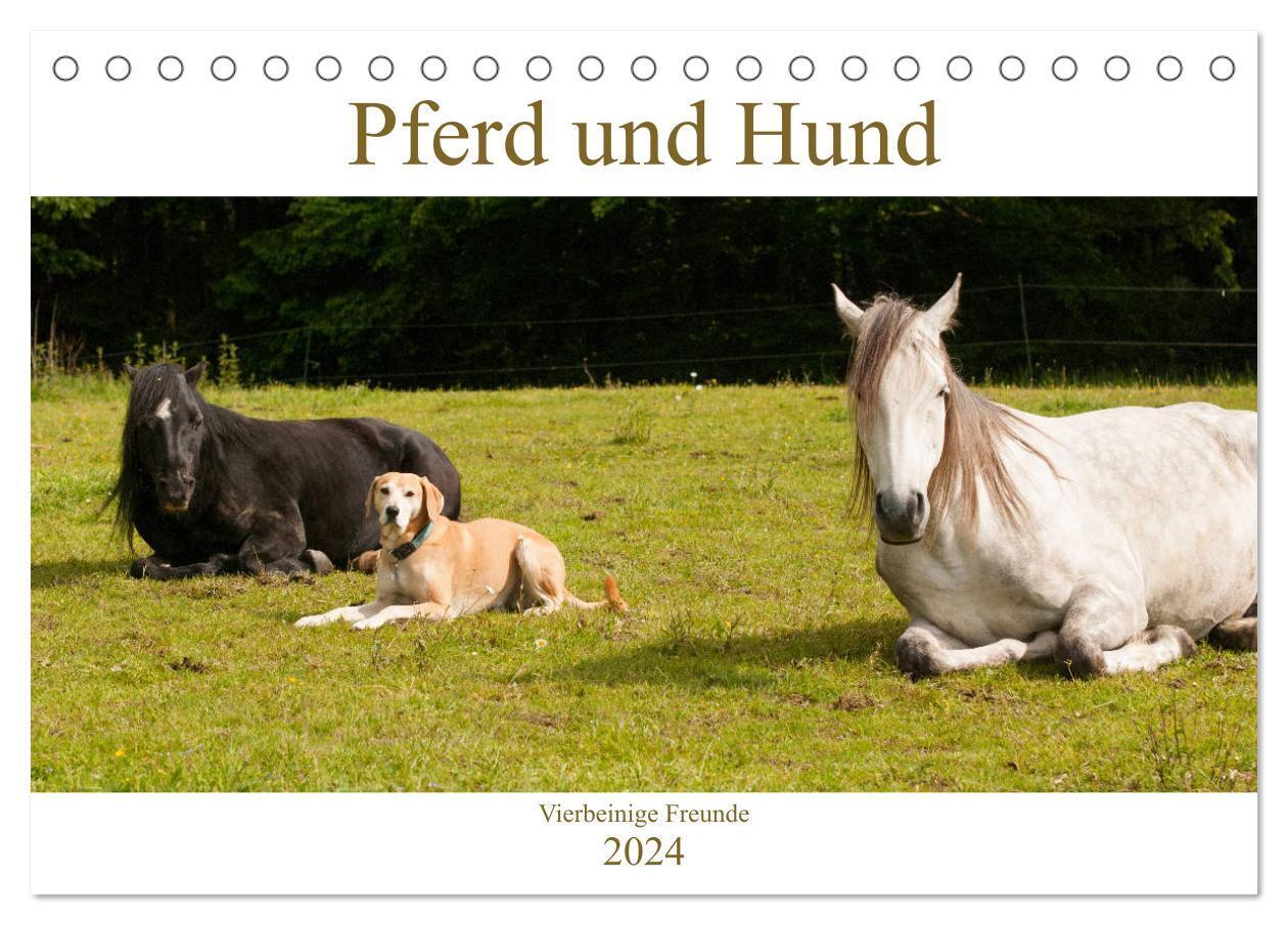 Cover: 9783383046469 | Pferd und Hund - Vierbeinige Freunde (Tischkalender 2024 DIN A5...