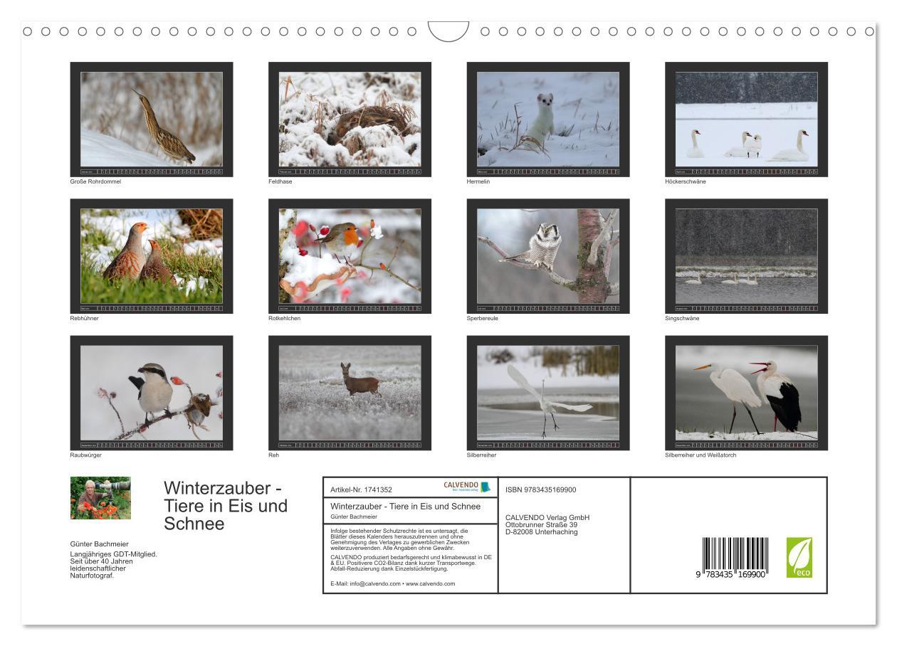 Bild: 9783435169900 | Winterzauber - Tiere in Eis und Schnee (Wandkalender 2025 DIN A3...