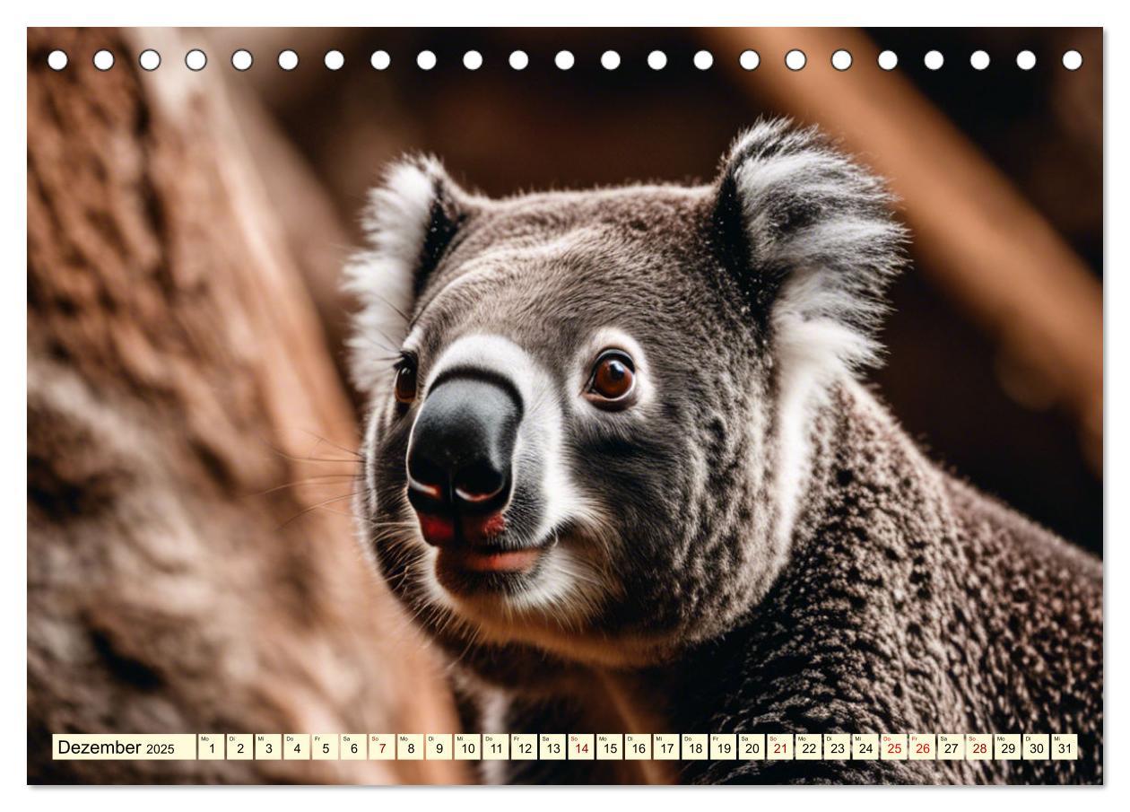 Bild: 9783435719402 | Australiens faszinierende Fauna (Tischkalender 2025 DIN A5 quer),...