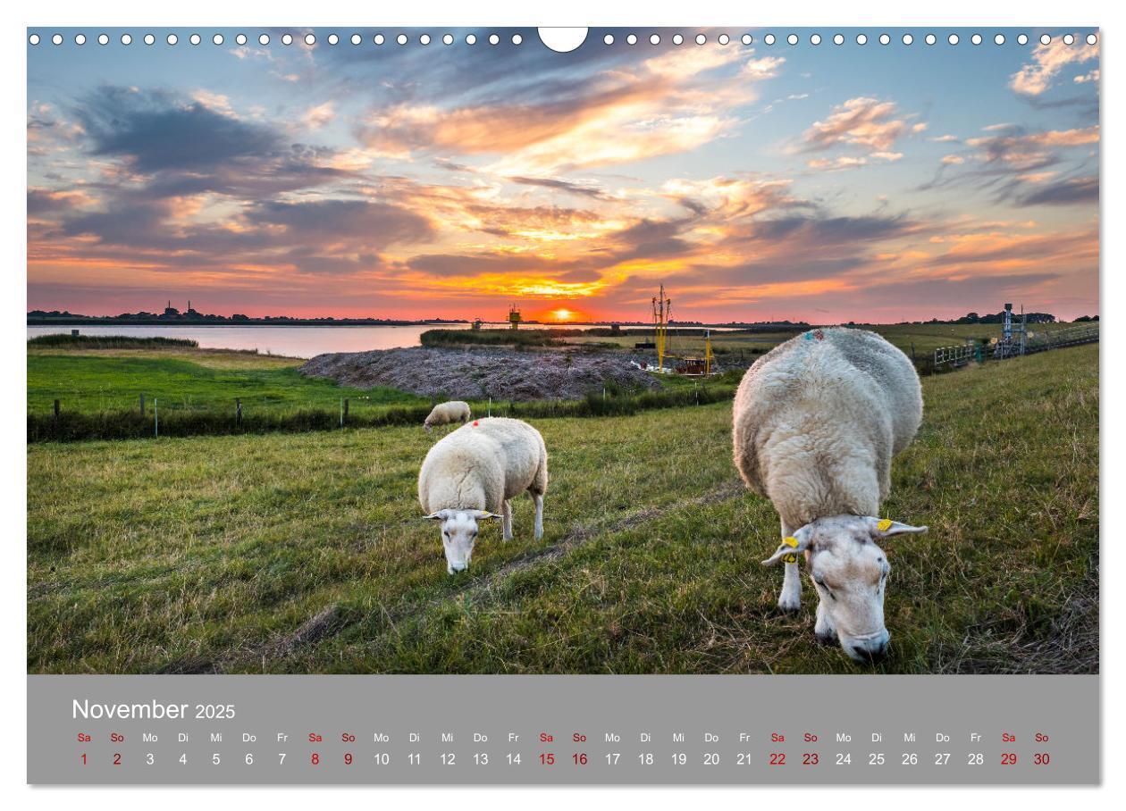 Bild: 9783435019113 | Ostfrieslandmomente 2025 (Wandkalender 2025 DIN A3 quer), CALVENDO...