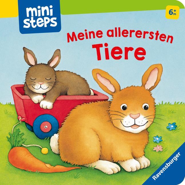 Cover: 9783473315789 | ministeps: Meine allerersten Tiere | Ab 6 Monaten | Buch | 20 S.