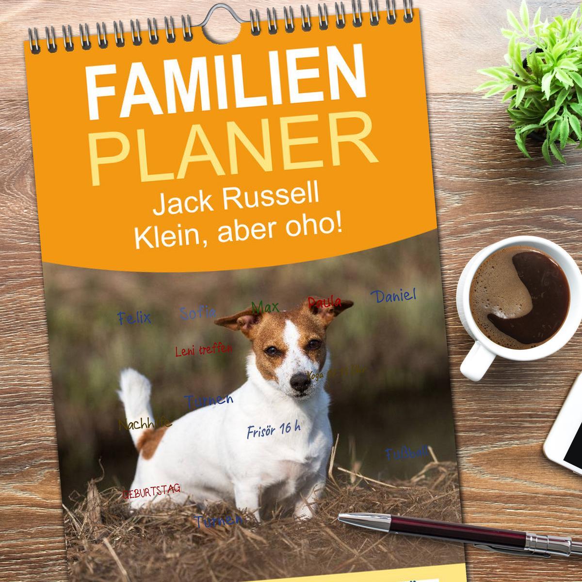 Bild: 9783457115459 | Familienplaner 2025 - Jack Russell - Klein, aber oho! mit 5 Spalten...