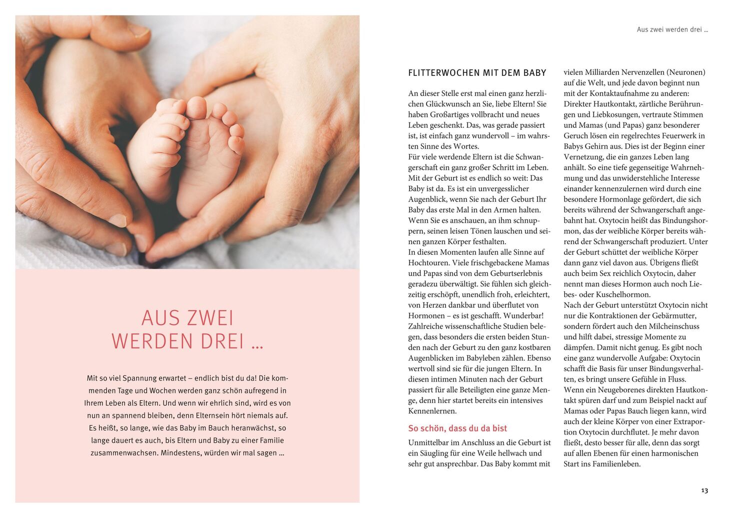 Bild: 9783833872198 | Das große GU Babybuch | Manfred Praun | Taschenbuch | 288 S. | Deutsch