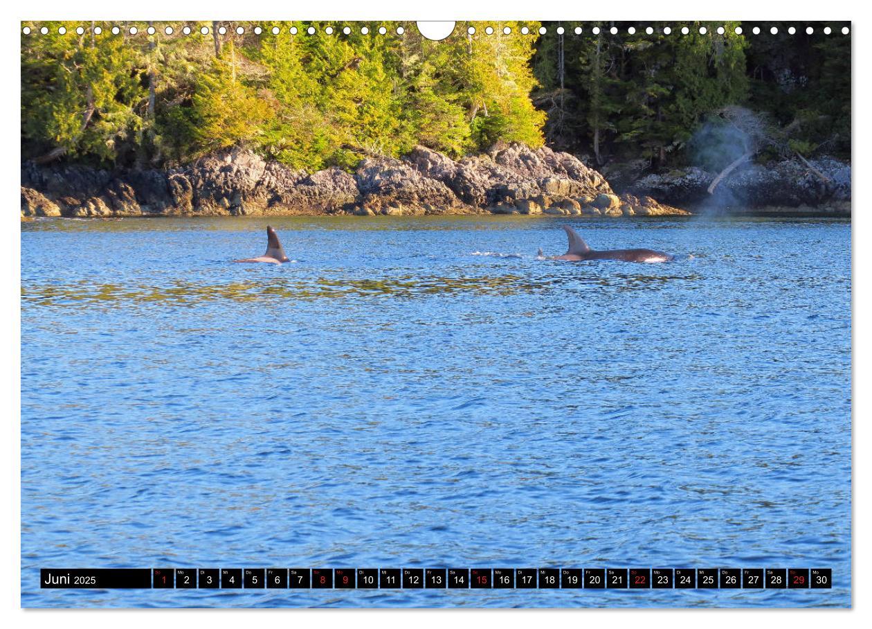 Bild: 9783435274345 | Vancouver - Vancouver Island - Seattle (Wandkalender 2025 DIN A3...