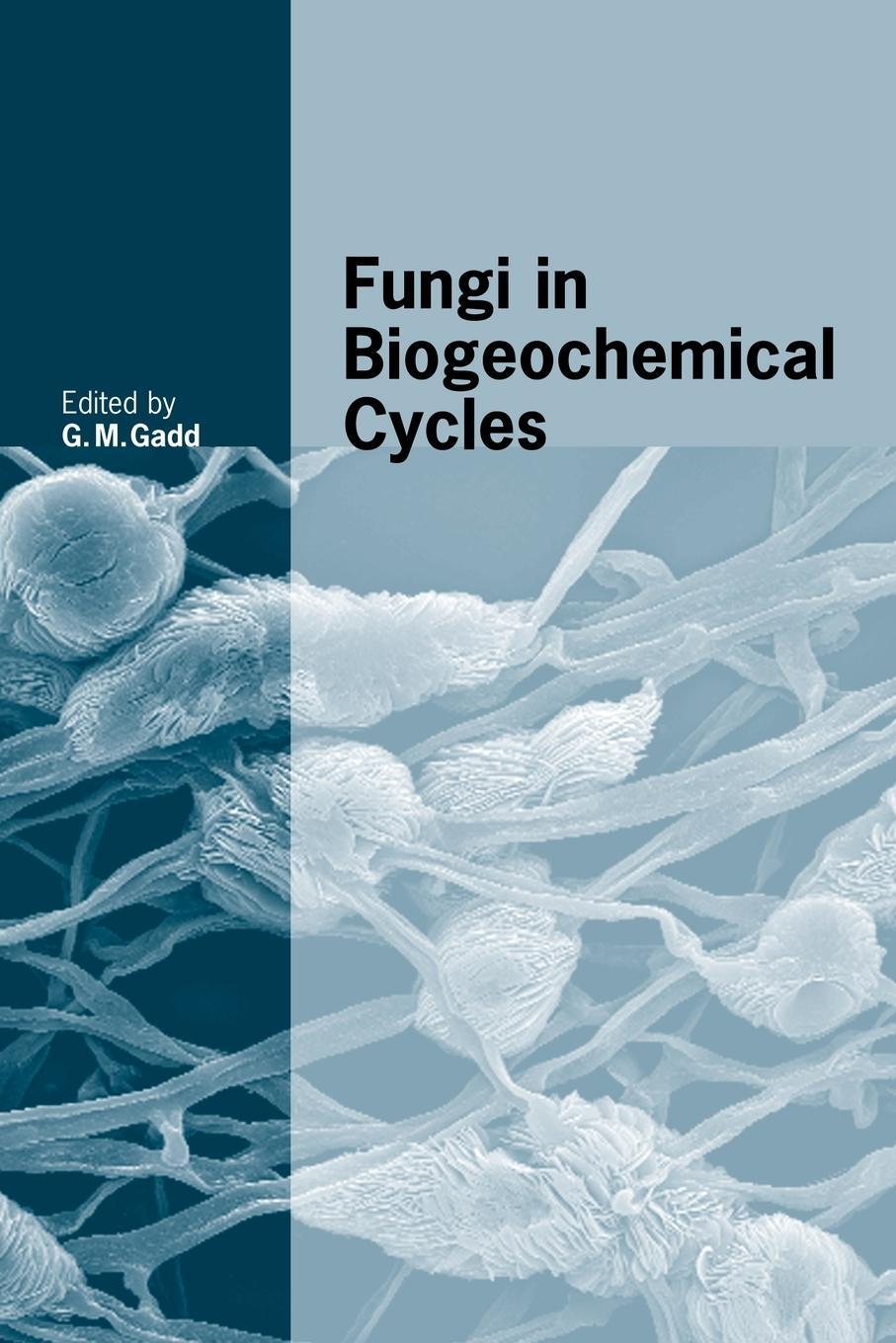 Cover: 9781107403215 | Fungi in Biogeochemical Cycles | Geoffrey Michael Gadd | Taschenbuch