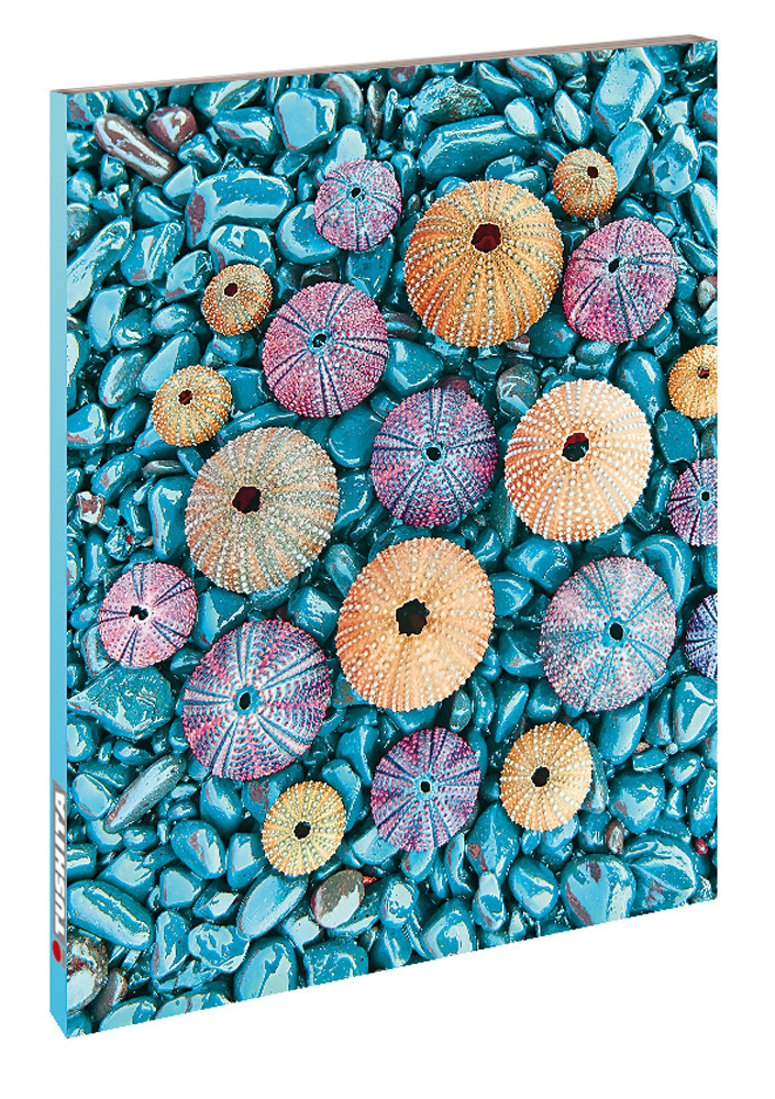 Cover: 9783960132400 | Sea Treasures | Blankbook | Tushita-Verlag | Buch | 144 S. | Deutsch