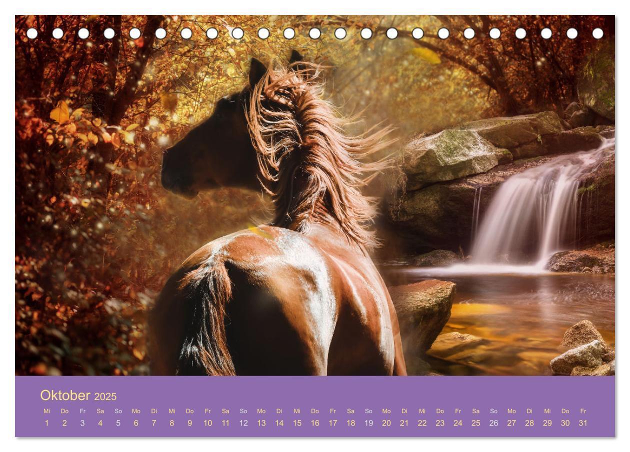 Bild: 9783435061044 | Von der Magie der Pferde (Tischkalender 2025 DIN A5 quer), CALVENDO...