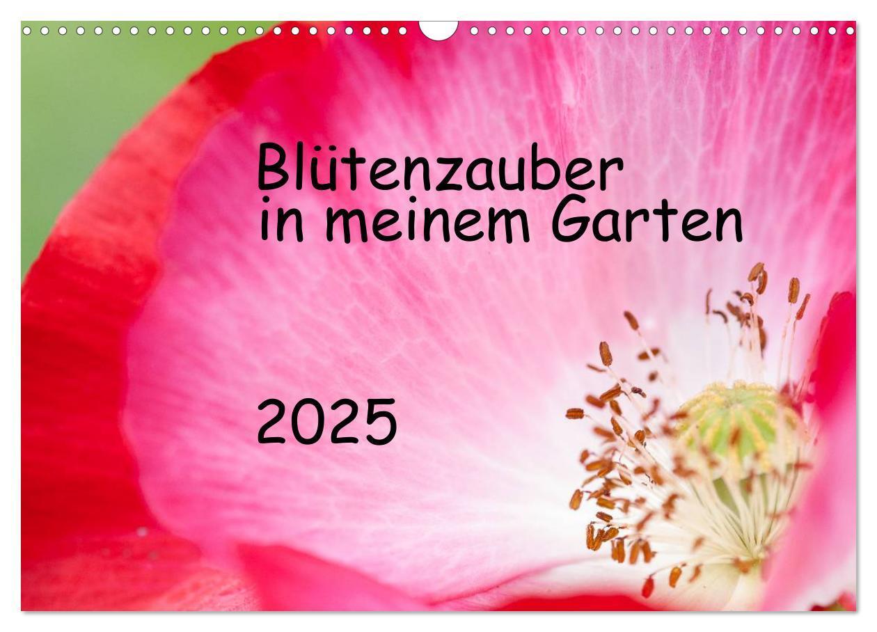 Cover: 9783435791804 | Blütenzauber in meinem Garten (Wandkalender 2025 DIN A3 quer),...