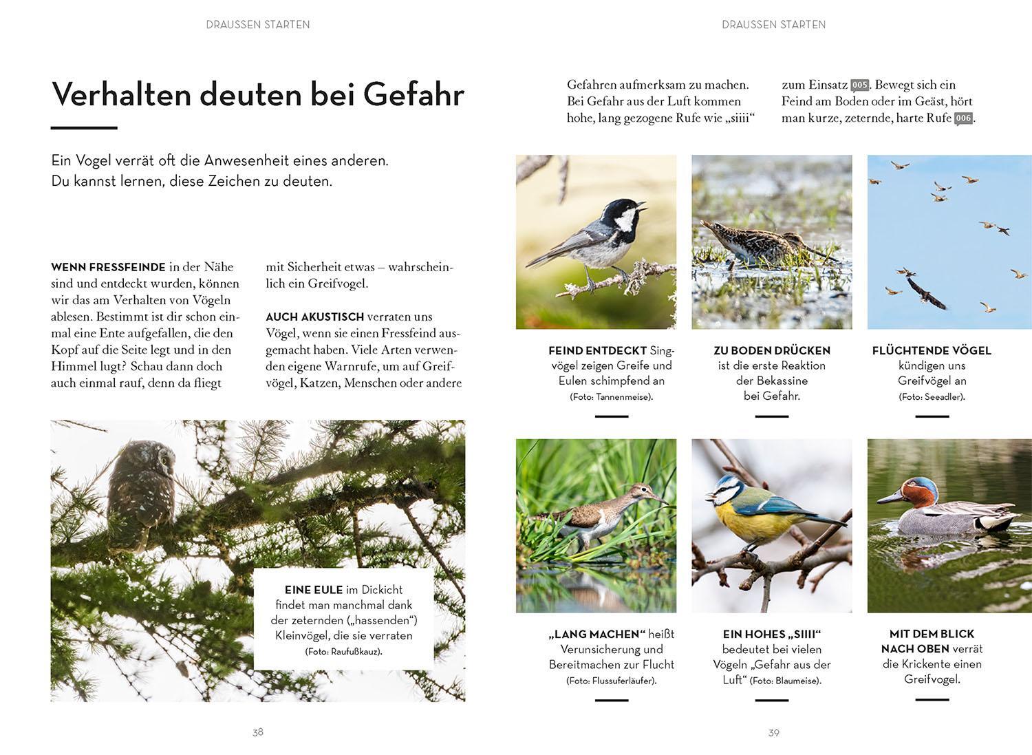 Bild: 9783440176337 | Vögel beobachten | Leander Khil | Taschenbuch | 128 S. | Deutsch