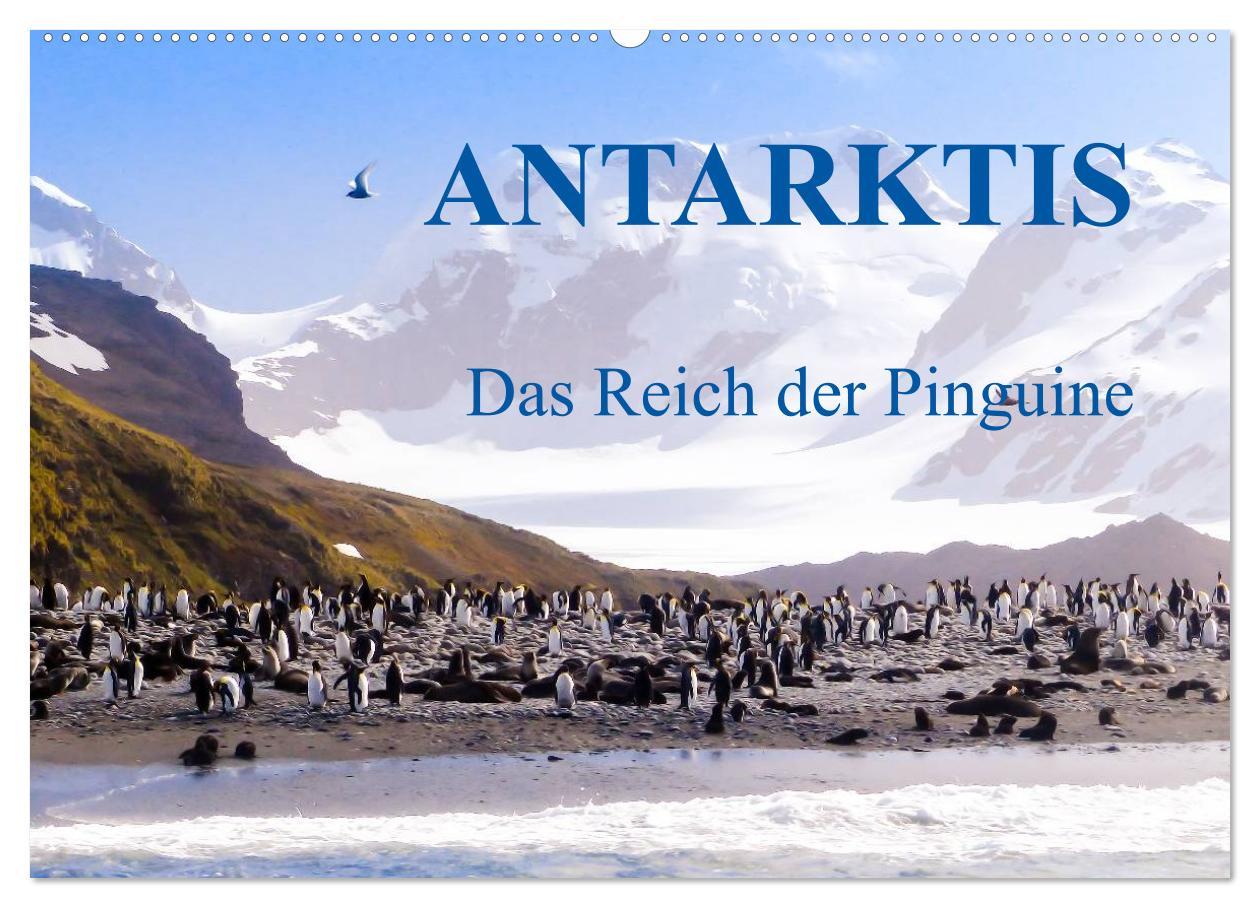 Cover: 9783435801572 | Antarktis - Das Reich der Pinguine (Wandkalender 2025 DIN A2 quer),...