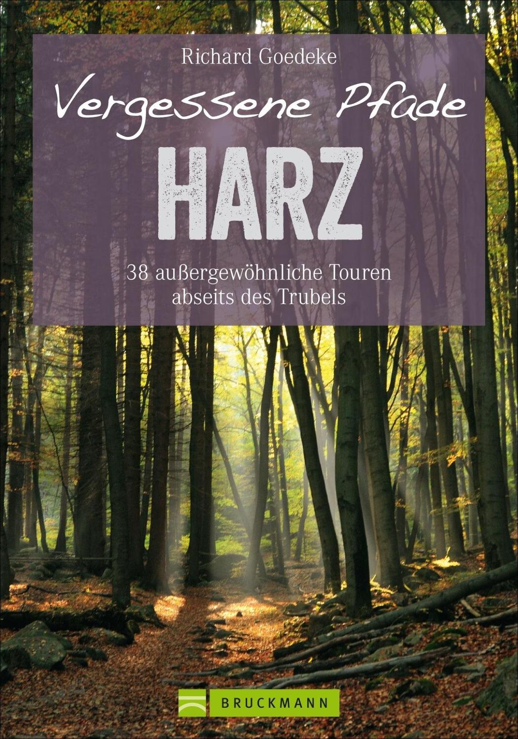 Cover: 9783765468193 | Vergessene Pfade im Harz | Richard Goedeke | Taschenbuch | 160 S.