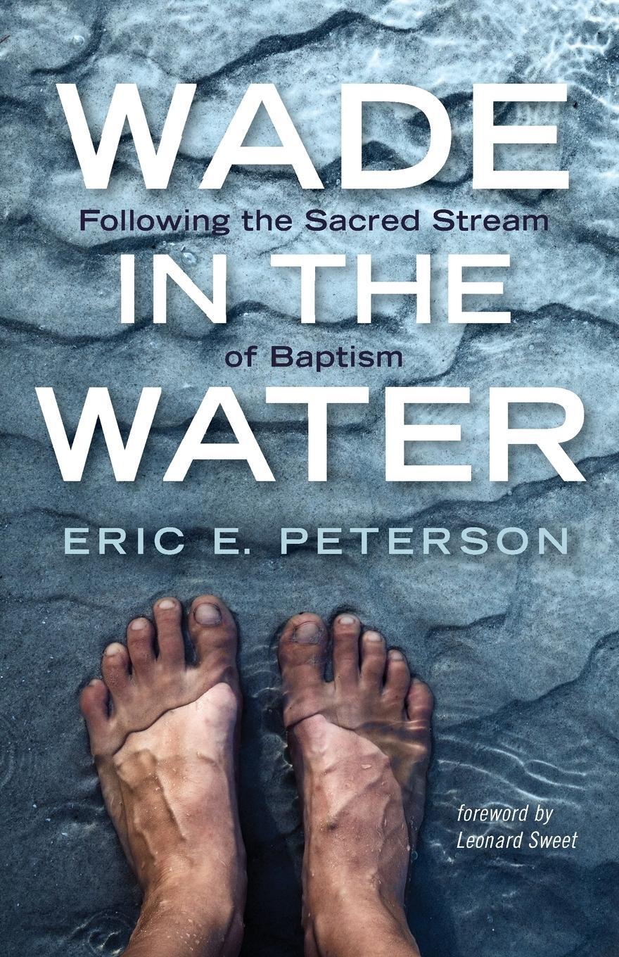 Cover: 9781532612794 | Wade in the Water | Eric E. Peterson | Taschenbuch | Paperback | 2018