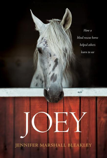 Cover: 9781496421746 | Joey | Jennifer Marshall Bleakley | Buch | Gebunden | Englisch | 2018