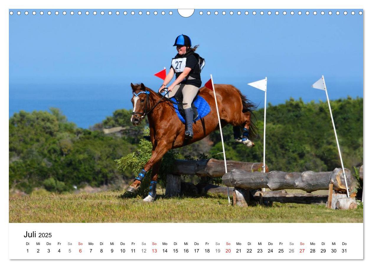 Bild: 9783435618057 | Vielseitigkeitsreiten (Wandkalender 2025 DIN A3 quer), CALVENDO...