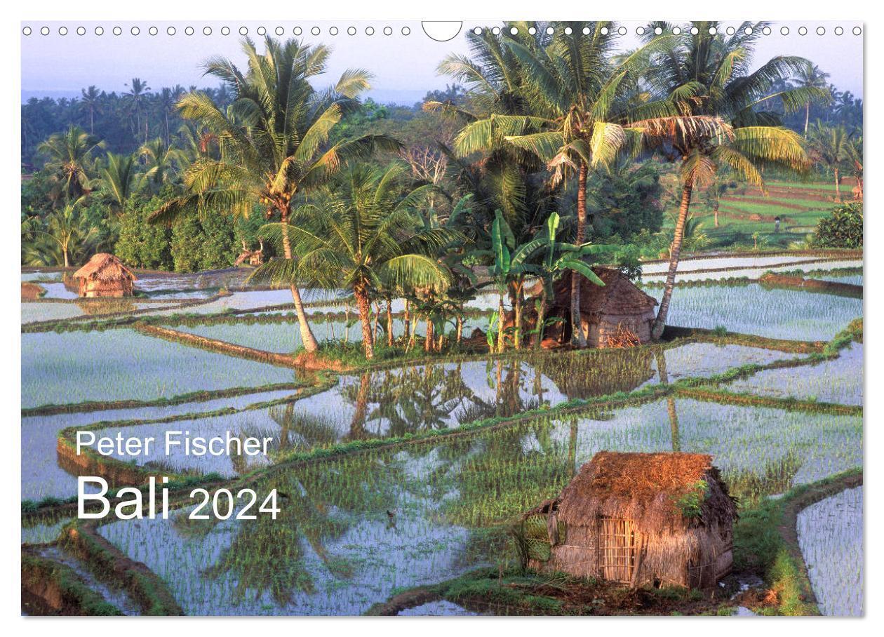 Cover: 9783383408298 | Peter Fischer - Bali 2024 (Wandkalender 2024 DIN A3 quer), CALVENDO...