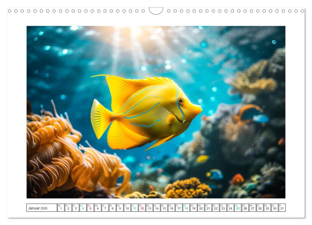 Bild: 9783383784378 | Exotische Fische (Wandkalender 2025 DIN A3 quer), CALVENDO...