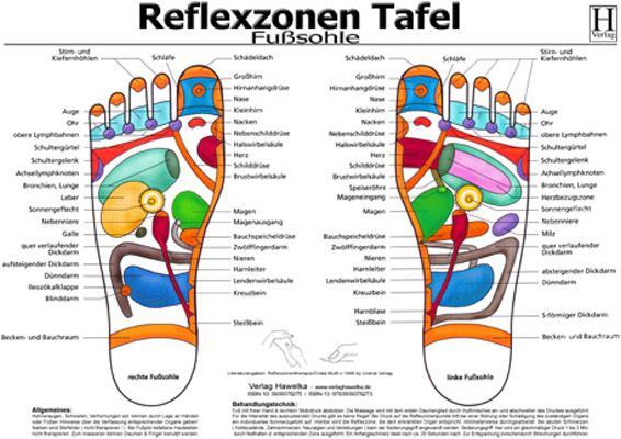 Cover: 9783939378273 | Fussreflexzonen Tafel. Fusssohle. DIN A3 | Stück | Deutsch | 2010