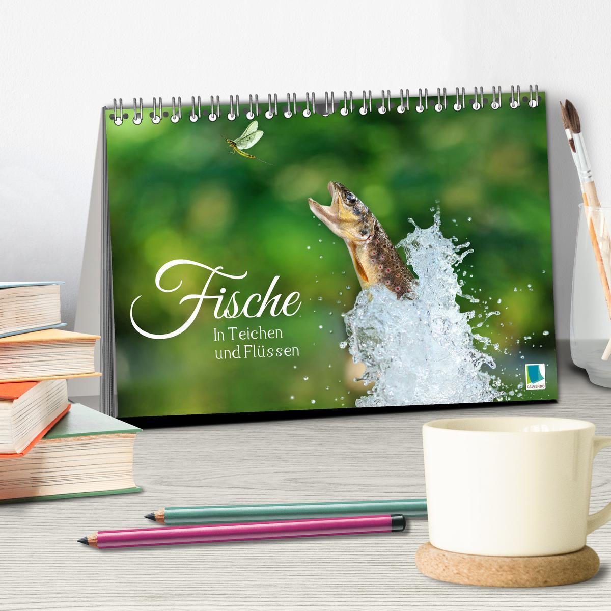 Bild: 9783383890444 | Fische in Teichen und Flüssen (Tischkalender 2025 DIN A5 quer),...