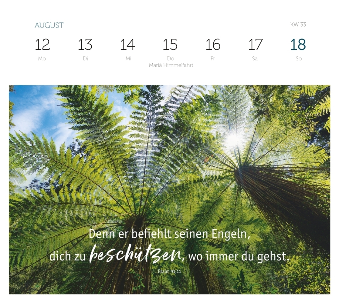Bild: 9783986950149 | Grüne Wunder - blaue Weiten 2024 - Tischkalender | Kalender | 53 S.