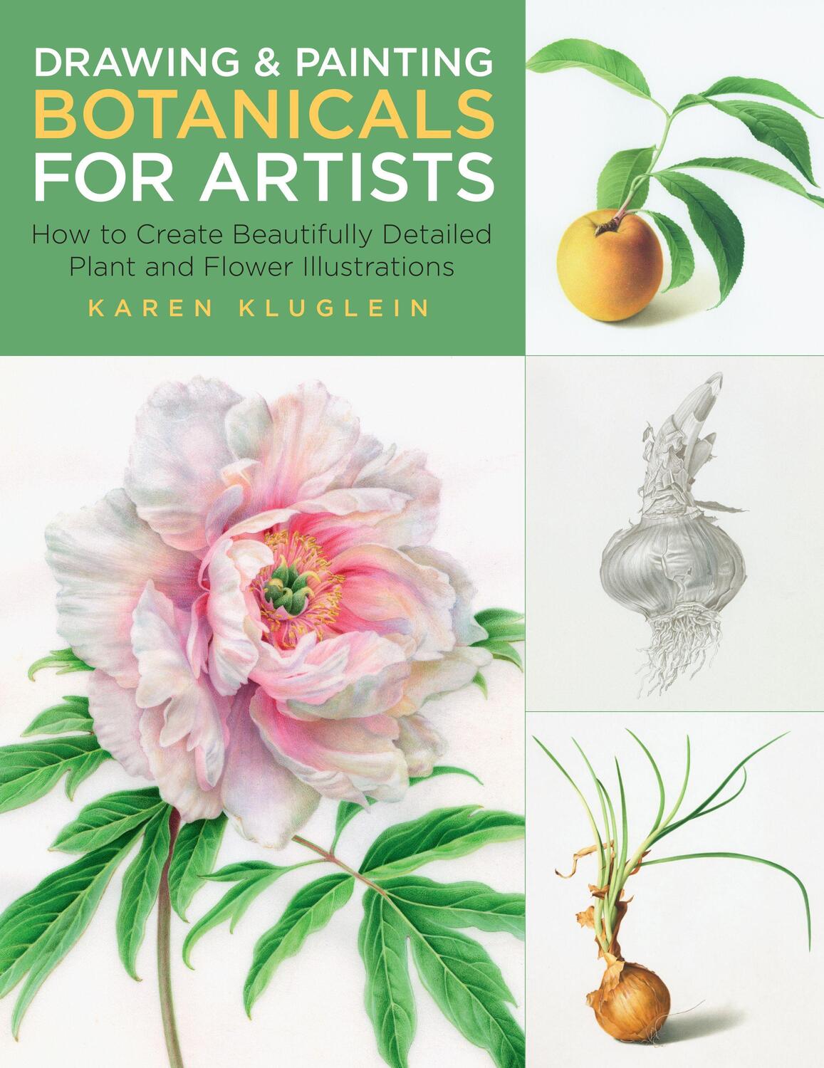 Cover: 9781631598579 | Drawing and Painting Botanicals for Artists: How to Create...