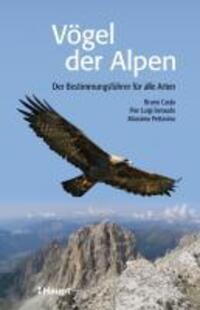 Cover: 9783258075976 | Vögel der Alpen | Der Bestimmungsführer für alle Arten | Caula (u. a.)