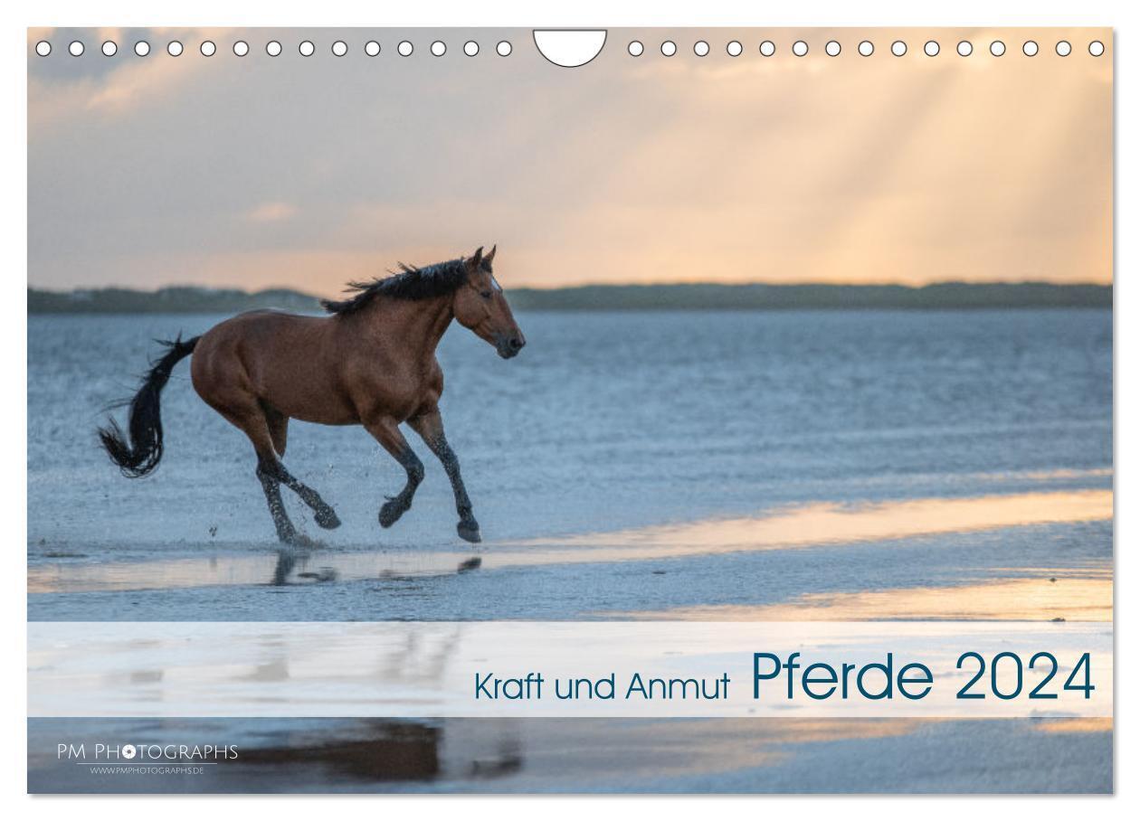 Cover: 9783675554238 | Pferde 2024 Kraft und Anmut (Wandkalender 2024 DIN A4 quer),...