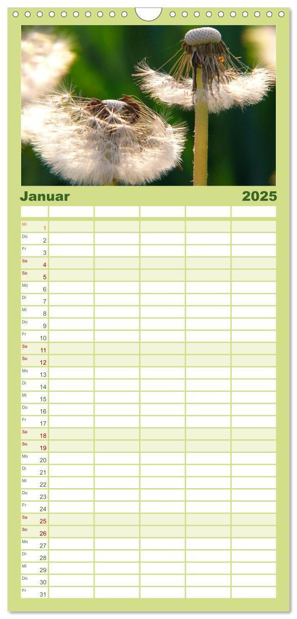 Bild: 9783457120347 | Familienplaner 2025 - Wildblumen 2025 mit 5 Spalten (Wandkalender,...