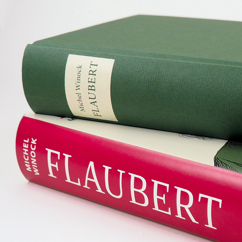 Bild: 9783446268449 | Flaubert | Biografie | Michel Winock | Buch | 656 S. | Deutsch | 2021