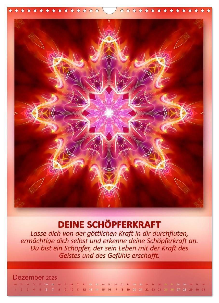 Bild: 9783457086209 | Light Energy Mandalas - Kalender - Vol. 1 (Wandkalender 2025 DIN A3...