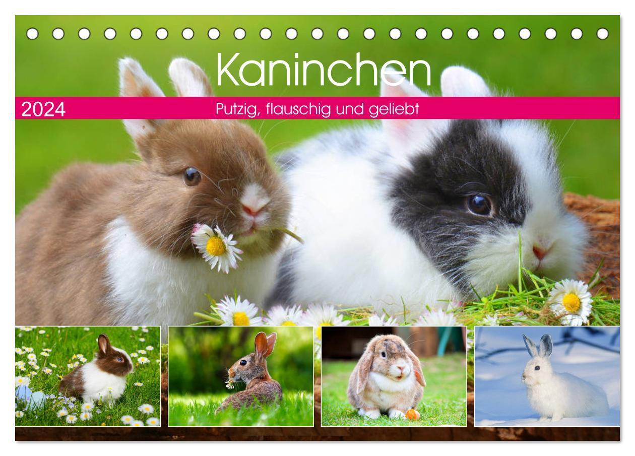 Cover: 9783383104985 | Kaninchen. Putzig, flauschig und geliebt (Tischkalender 2024 DIN A5...