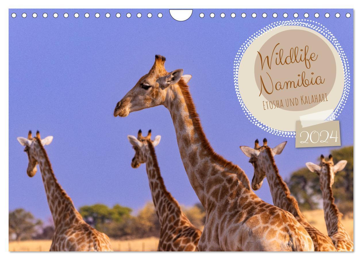 Cover: 9783383712517 | Wildlife Namibia - Etosha und Kalahari (Wandkalender 2024 DIN A4...