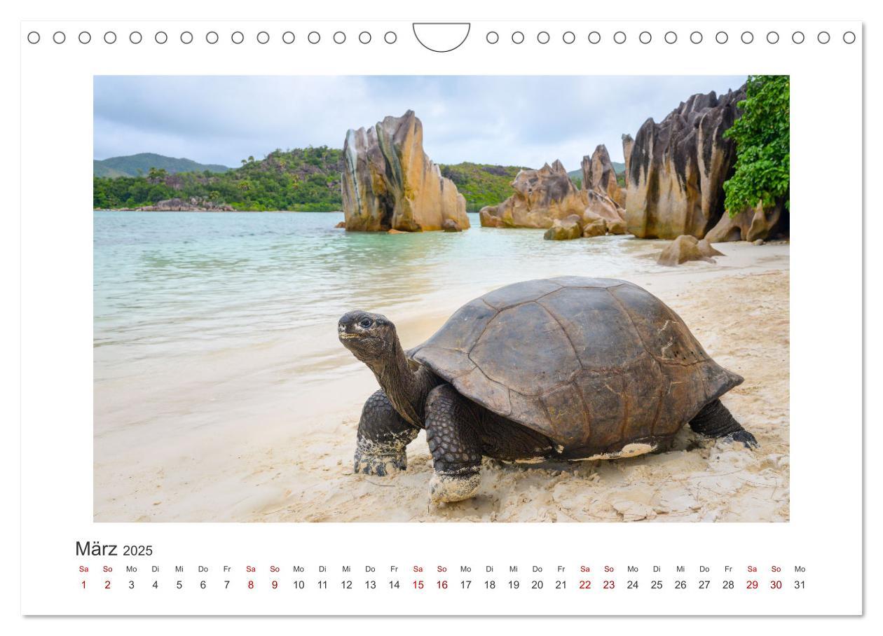 Bild: 9783457196939 | Seychellen - unterwegs mit Julia Hahn (Wandkalender 2025 DIN A4...