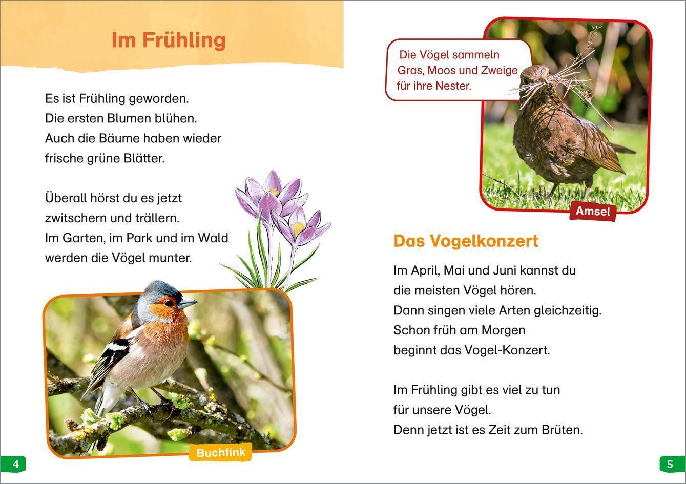 Bild: 9783788677251 | WAS IST WAS Erstes Lesen easy! Band 7. Wie leben unsere Vögel? | Buch