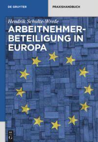 Cover: 9783110331936 | Arbeitnehmerbeteiligung in Europa | Hendrik Schulte-Wrede | Buch | LII