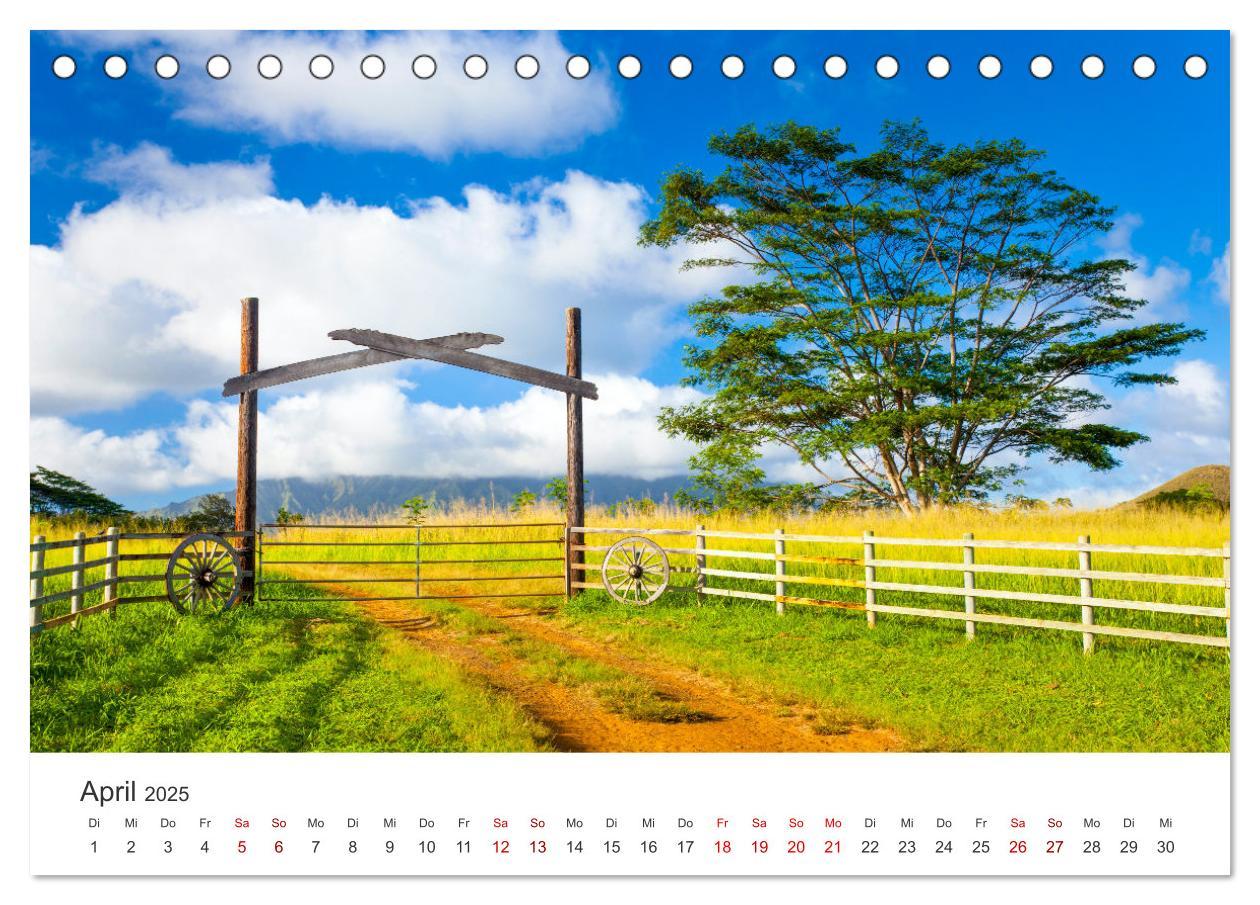 Bild: 9783383917578 | Hawaii Traumziel (Tischkalender 2025 DIN A5 quer), CALVENDO...