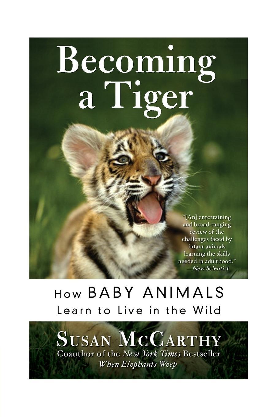 Cover: 9780060934842 | Becoming a Tiger | Susan Mccarthy | Taschenbuch | Paperback | Englisch