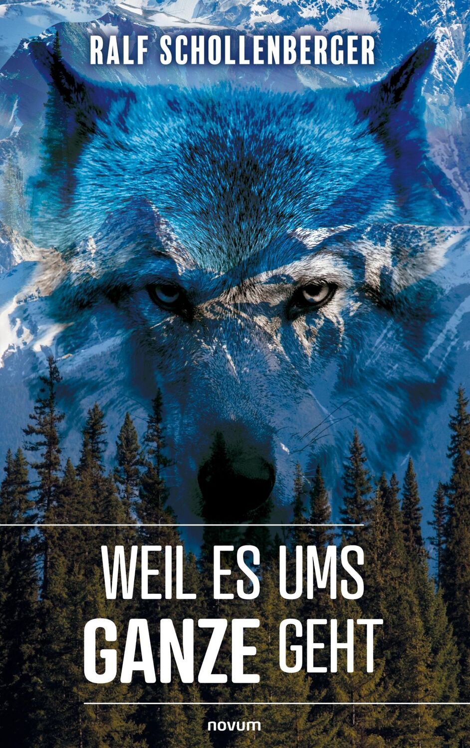 Cover: 9783991463832 | Weil es ums Ganze geht | Ralf Schollenberger | Taschenbuch | Paperback