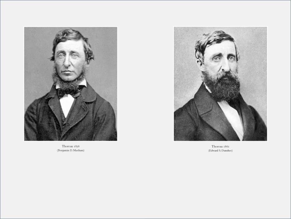 Bild: 9783518467695 | Henry David Thoreau | Waldgänger und Rebell. Eine Biographie | Schäfer