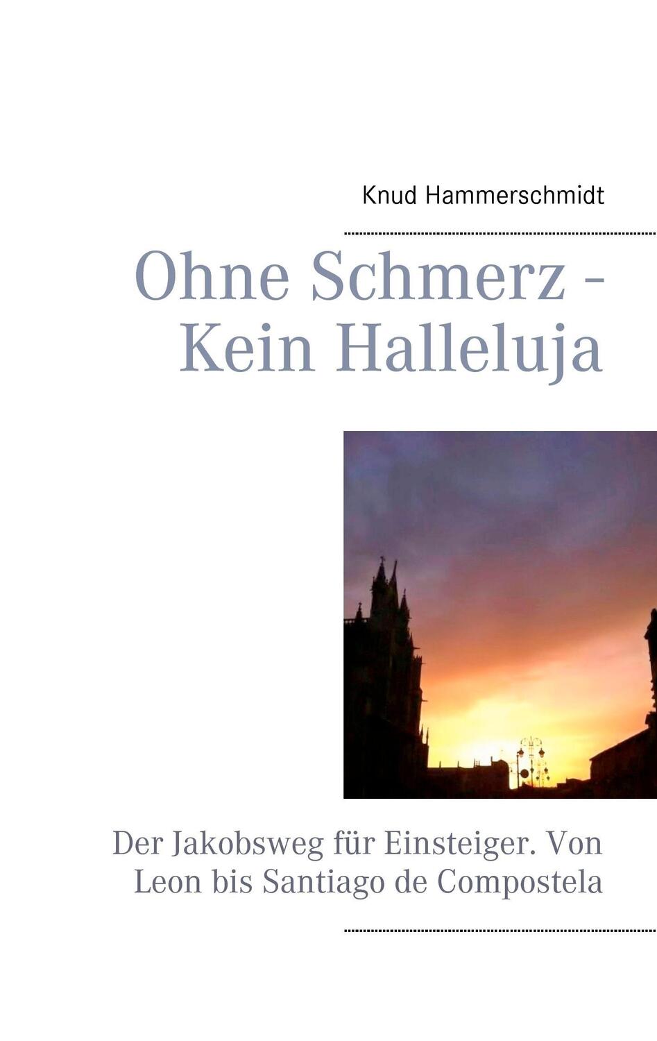 Cover: 9783848213863 | Ohne Schmerz - Kein Halleluja | Knud Hammerschmidt | Taschenbuch