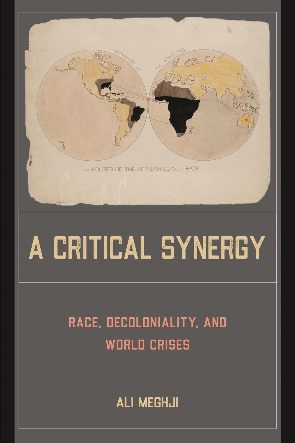 Cover: 9781439922071 | A Critical Synergy | Race, Decoloniality, and World Crises | Meghji
