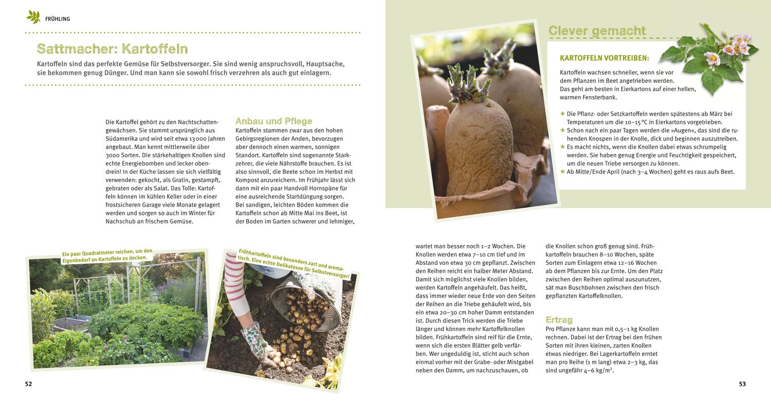 Bild: 9783833865343 | Selbstversorger Basics | Obst- und Gemüsegärtnern für Anfänger | Buch