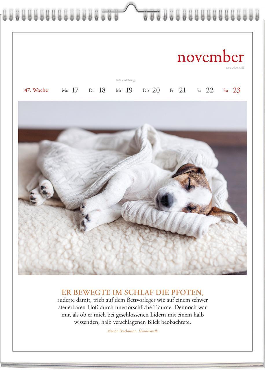 Bild: 9783747205648 | Literarischer Hunde - Kalender 2025 | Wochenkalender | Vivendi Ars
