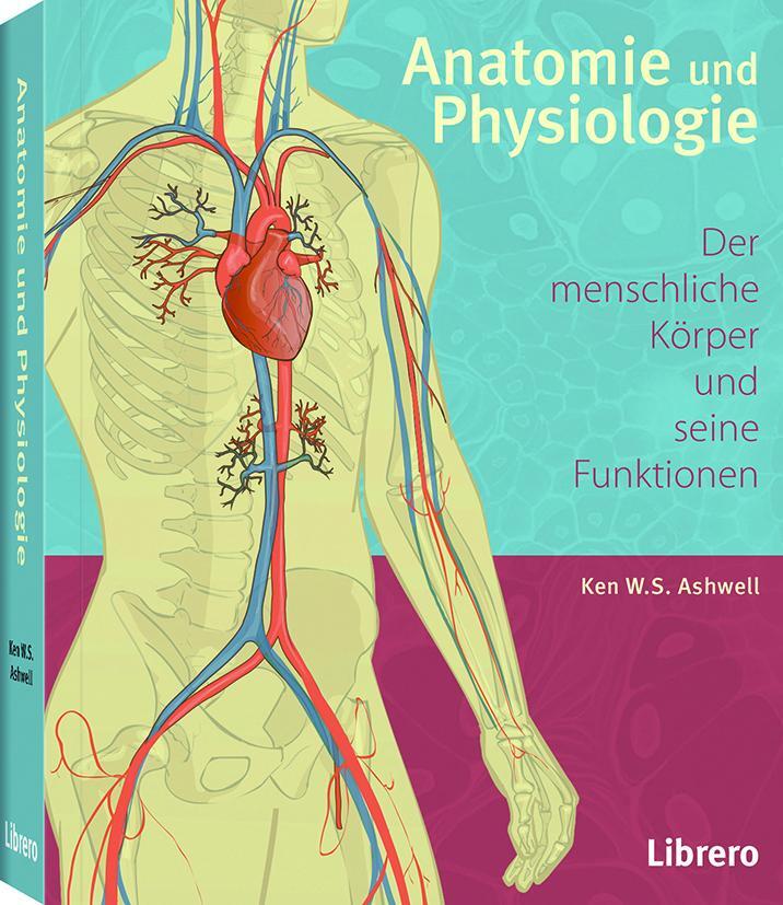Cover: 9789089988638 | Anatomie und Physiologie | Der menschliche Körper und seine Funktionen