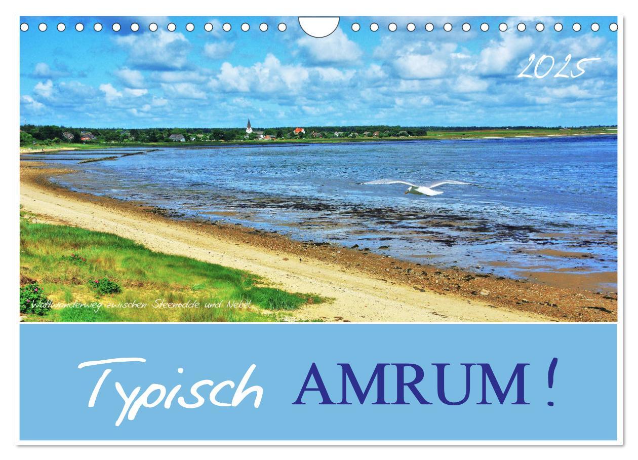 Cover: 9783435418510 | Typisch Amrum! (Wandkalender 2025 DIN A4 quer), CALVENDO...