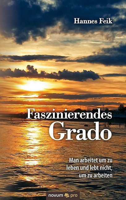 Cover: 9783990487303 | Faszinierendes Grado | Hannes Feik | Taschenbuch | 140 S. | Deutsch