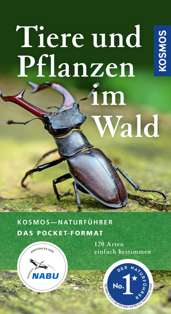 Cover: 9783440170069 | Tiere und Pflanzen im Wald | Ute Wilhelmsen | Taschenbuch | Deutsch