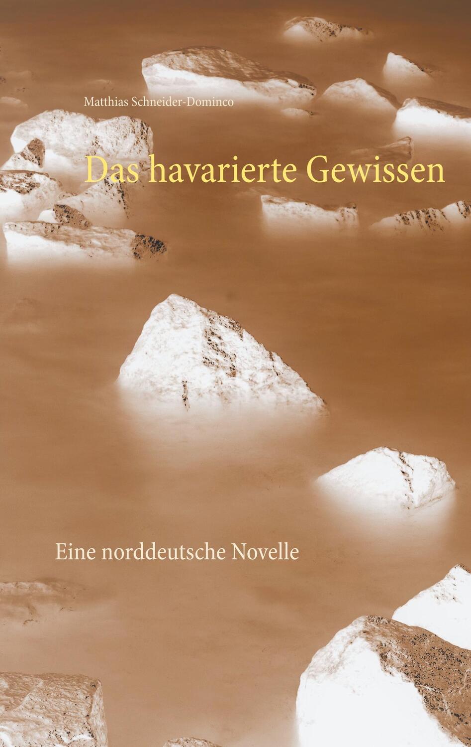 Cover: 9783740725167 | Das havarierte Gewissen | Eine norddeutsche Novelle | Taschenbuch