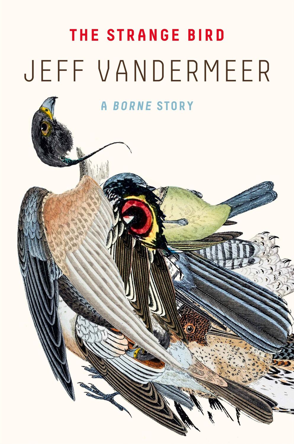 Cover: 9780374537920 | The Strange Bird | A Borne Story | Jeff VanderMeer | Taschenbuch