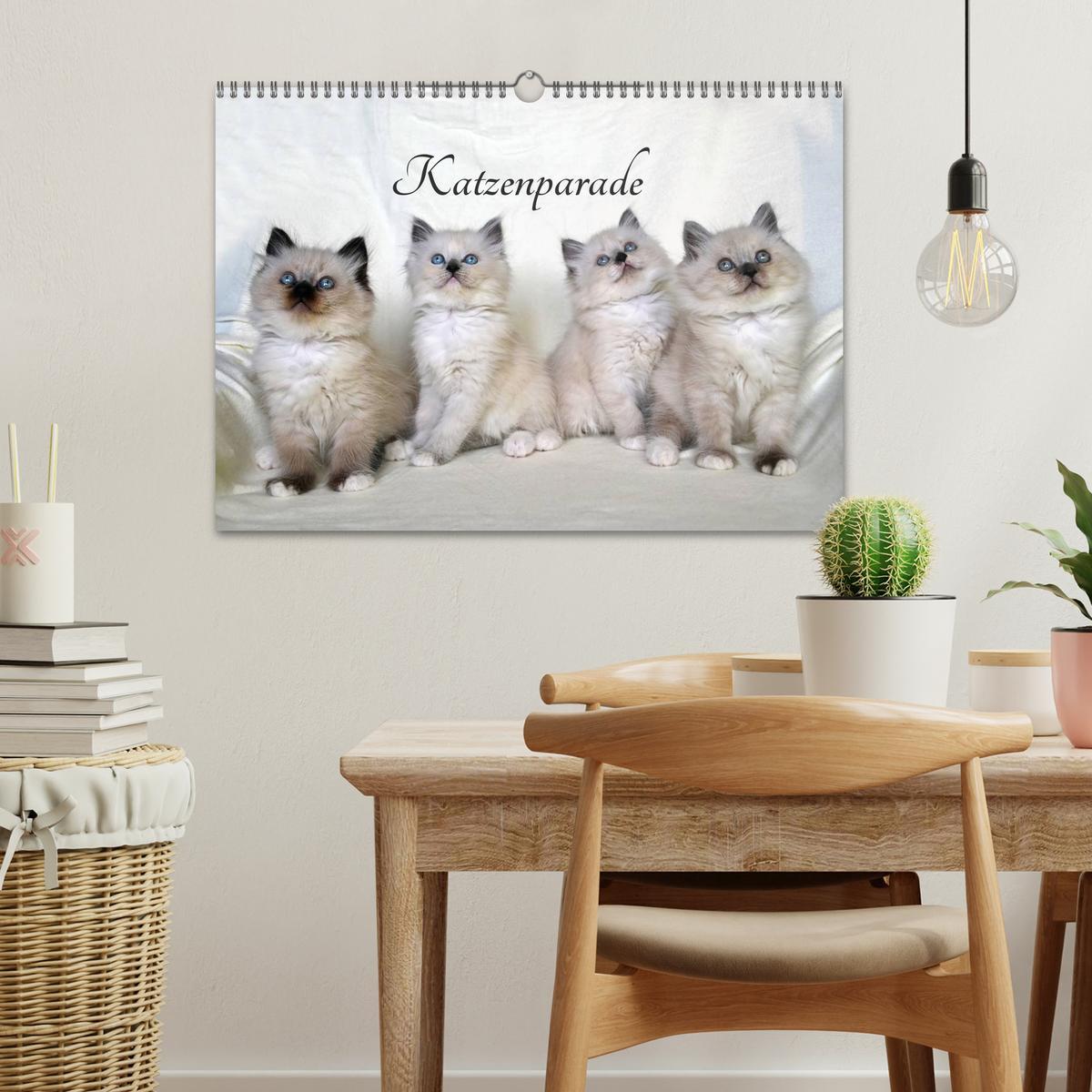 Bild: 9783435606207 | Katzenparade (Wandkalender 2025 DIN A3 quer), CALVENDO Monatskalender