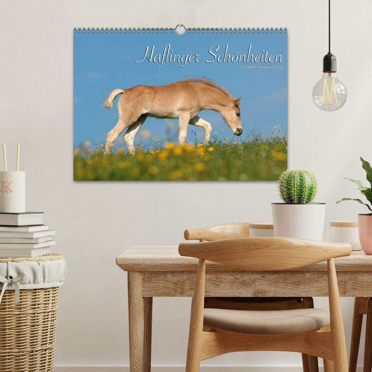 Bild: 9783435753185 | Haflinger Schönheiten (Wandkalender 2025 DIN A3 quer), CALVENDO...